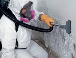 Best HVAC Mold Inspection and Cleaning  in Elmont, NY